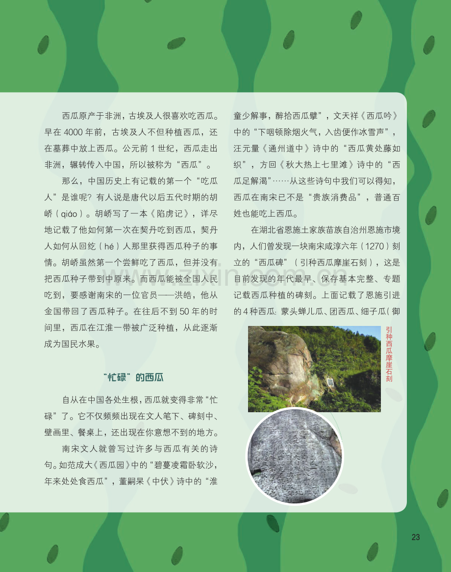 西瓜周游记.pdf_第2页