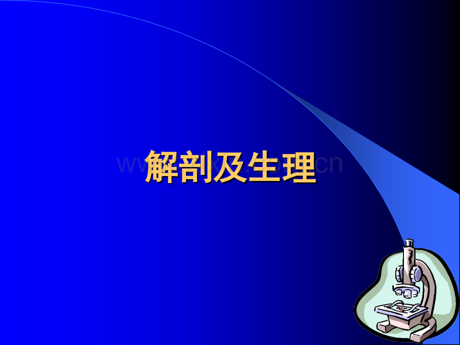 药物性肾病.ppt_第3页