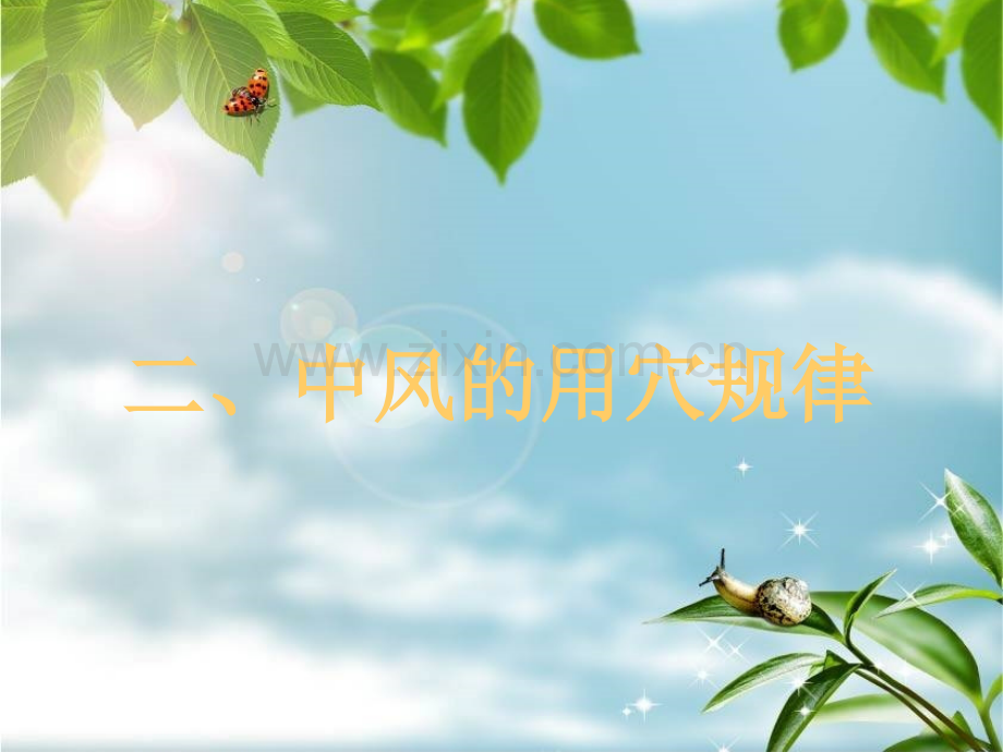 中风的针灸治疗.ppt_第3页