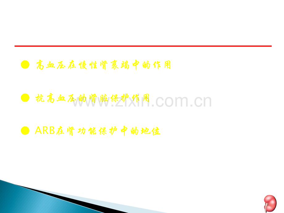 ARB超越降压的肾脏保护作用ppt课件.ppt_第2页