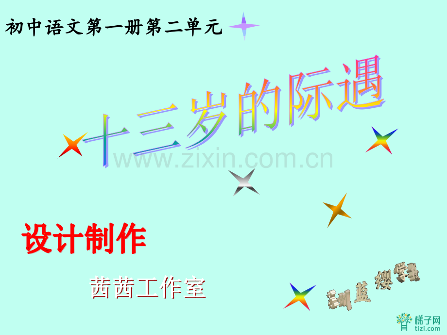 《十三岁的际遇》PPT课件.ppt_第1页