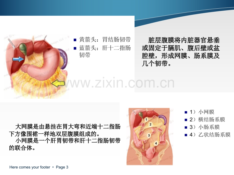 腹膜及肠系膜病变影像学分析ppt课件.ppt_第3页