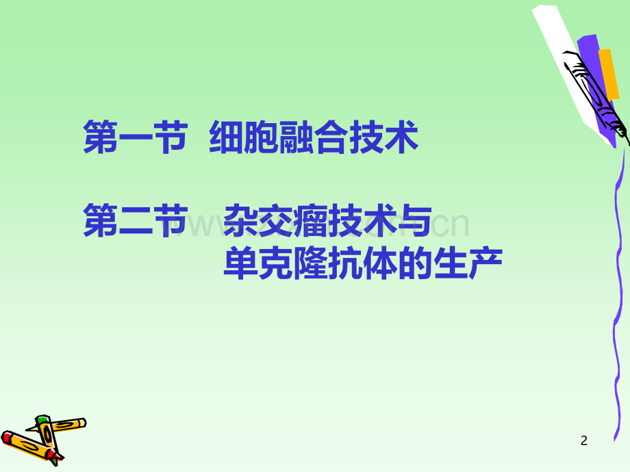 xb六、细胞融合与杂交瘤技术PPT课件.ppt_第2页