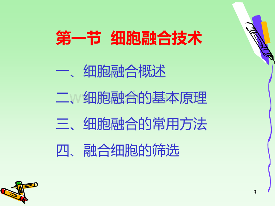 xb六、细胞融合与杂交瘤技术PPT课件.ppt_第3页