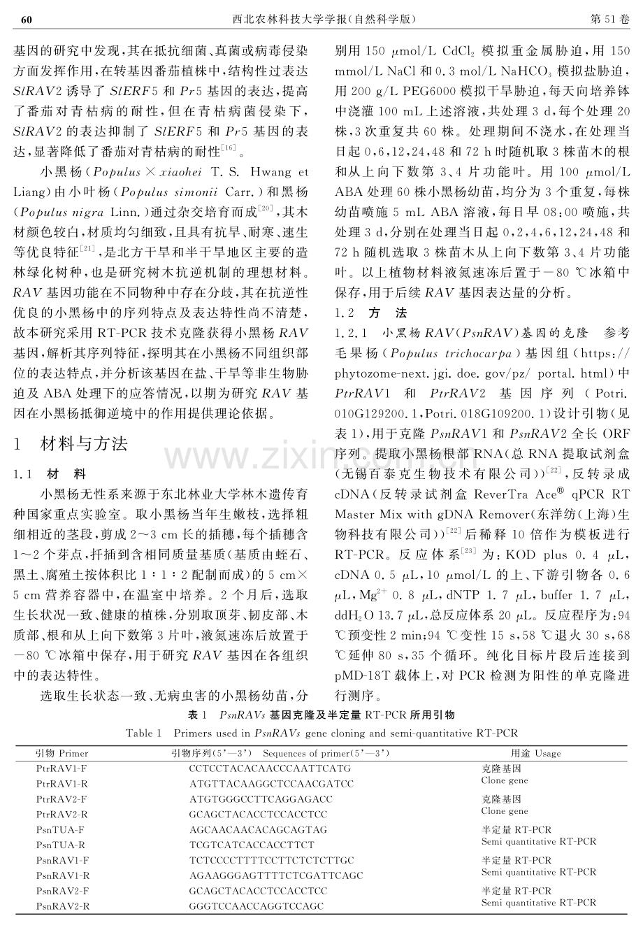 小黑杨RAV1与RAV2基因的克隆与表达分析.pdf_第3页