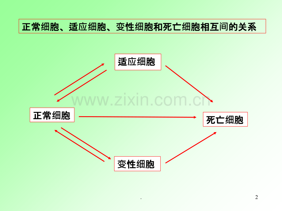 第一章组织细胞的损伤第七版PPT课件.ppt_第2页