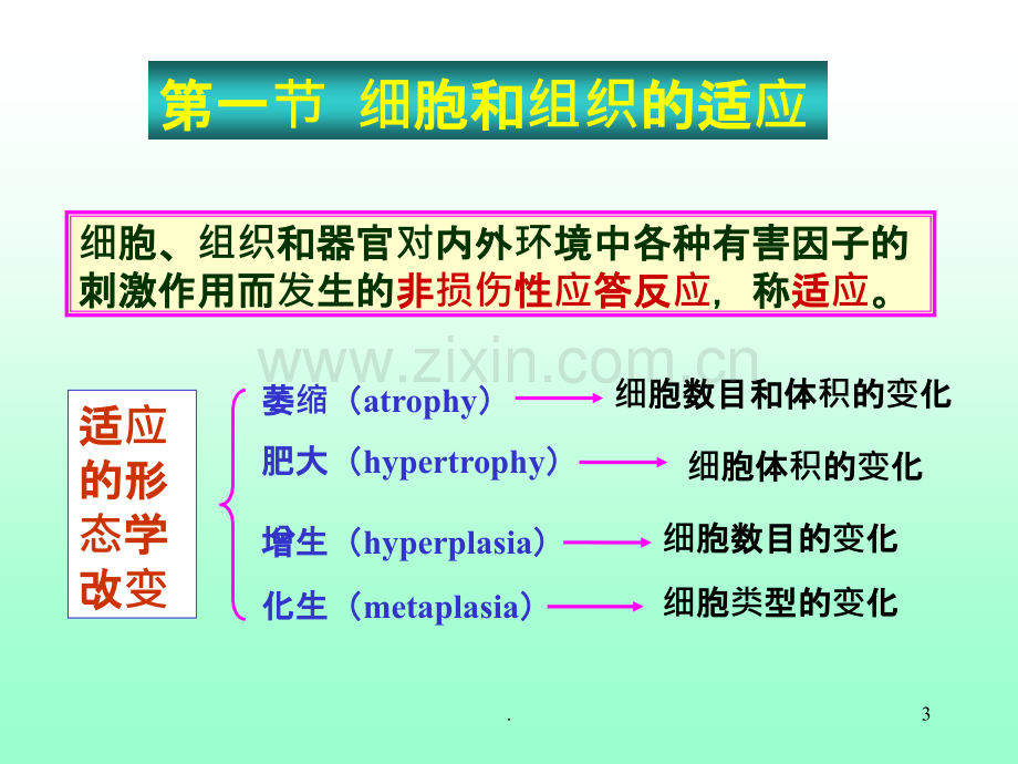 第一章组织细胞的损伤第七版PPT课件.ppt_第3页