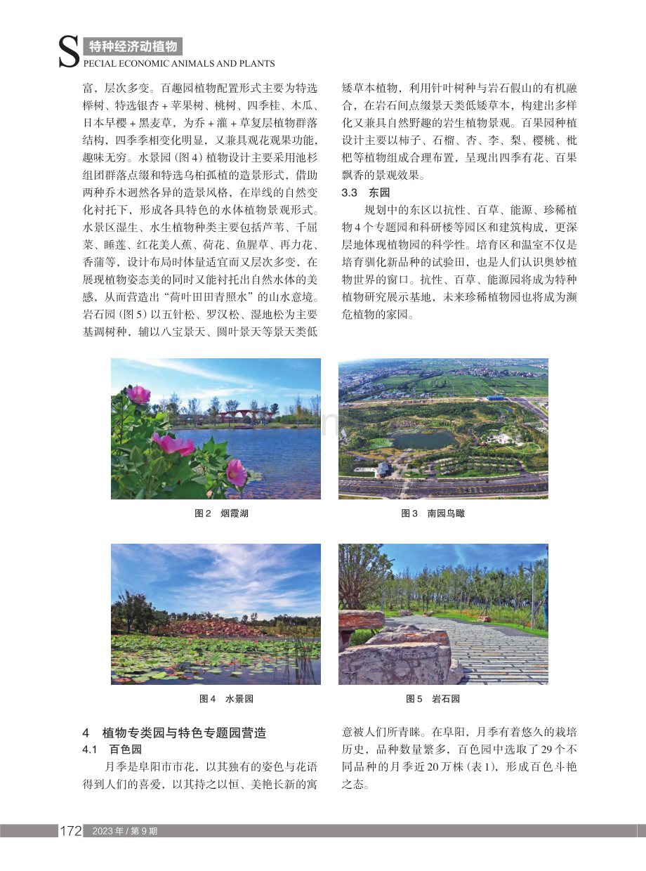 现代植物专类园中植物造景与实践——以阜阳植物园为例.pdf_第3页