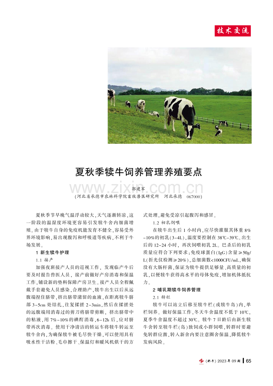 夏秋季犊牛饲养管理养殖要点.pdf_第1页