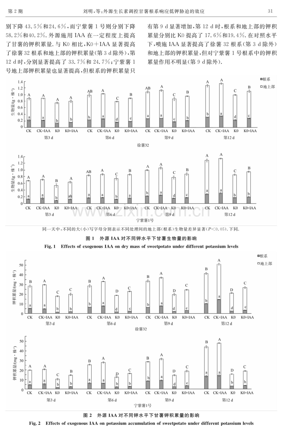 外源生长素调控甘薯根系响应低钾胁迫的效应.pdf_第3页