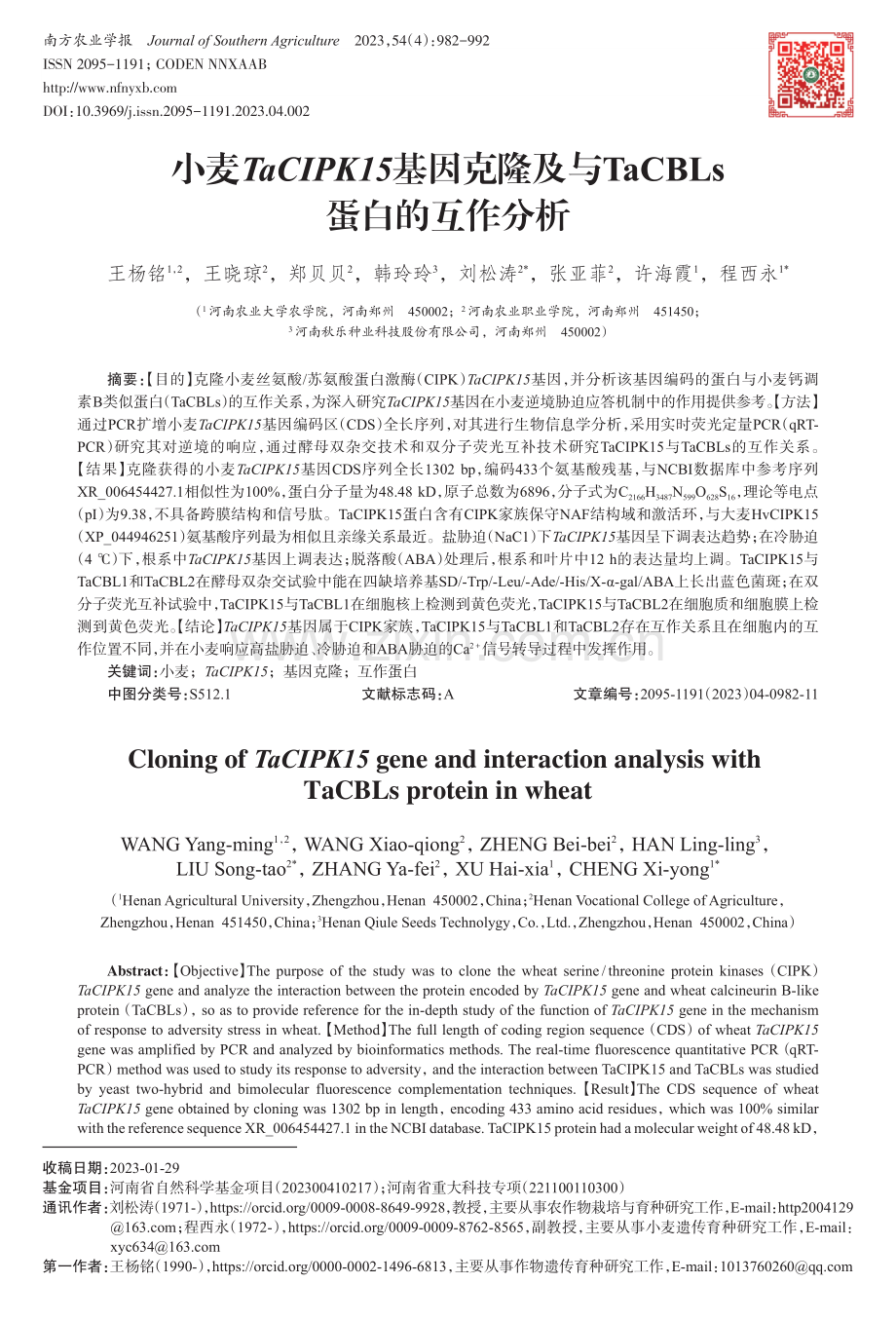 小麦TaCIPK15基因克隆及与TaCBLs蛋白的互作分析.pdf_第1页