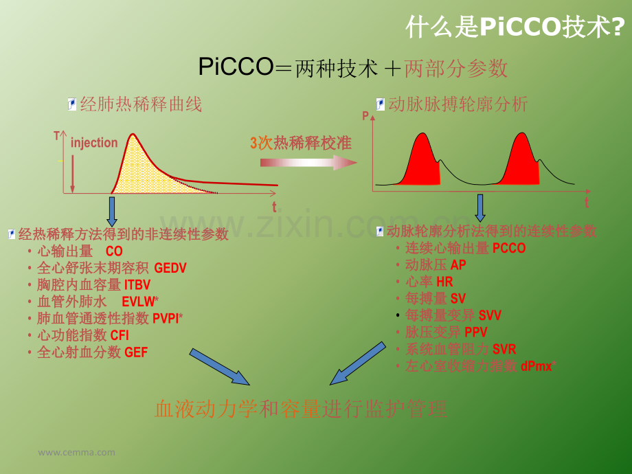 PiCCO课件ppt课件.ppt_第3页