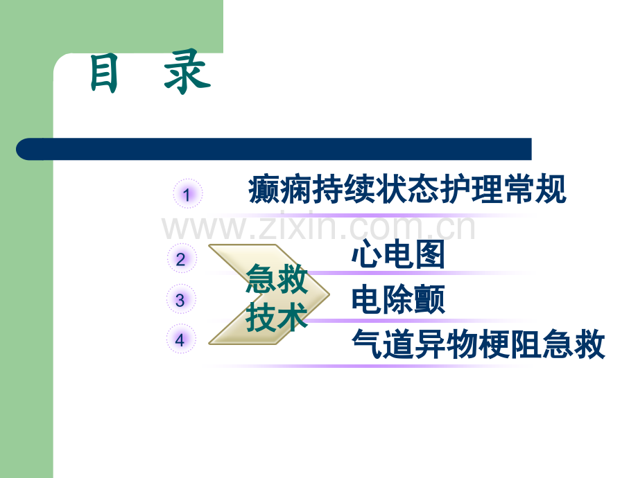 癫痫持续状态护理常规.ppt_第2页