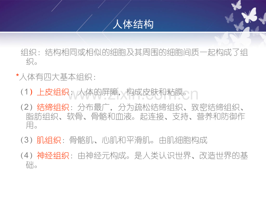 保健按摩师培训解剖基础ppt课件.ppt_第2页