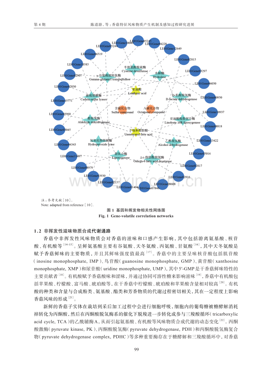 香菇特征风味物质产生机制及感知过程研究进展.pdf_第3页