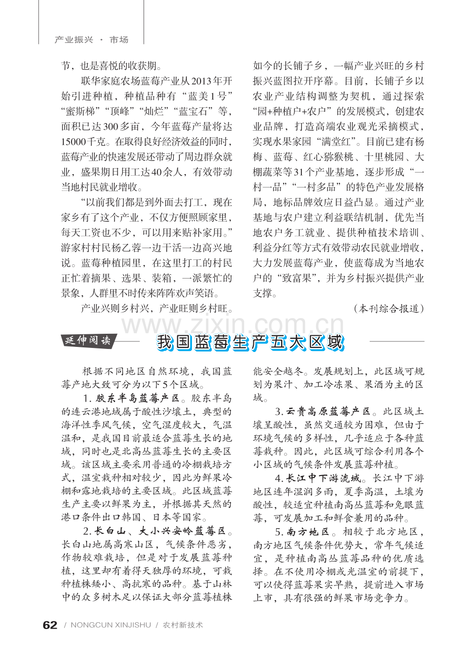 小蓝莓拉动乡村振兴大产业.pdf_第2页