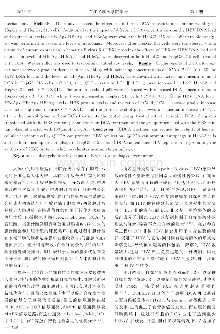 脱氧胆酸对HBV复制及肝癌细胞自噬影响的研究.pdf_第2页