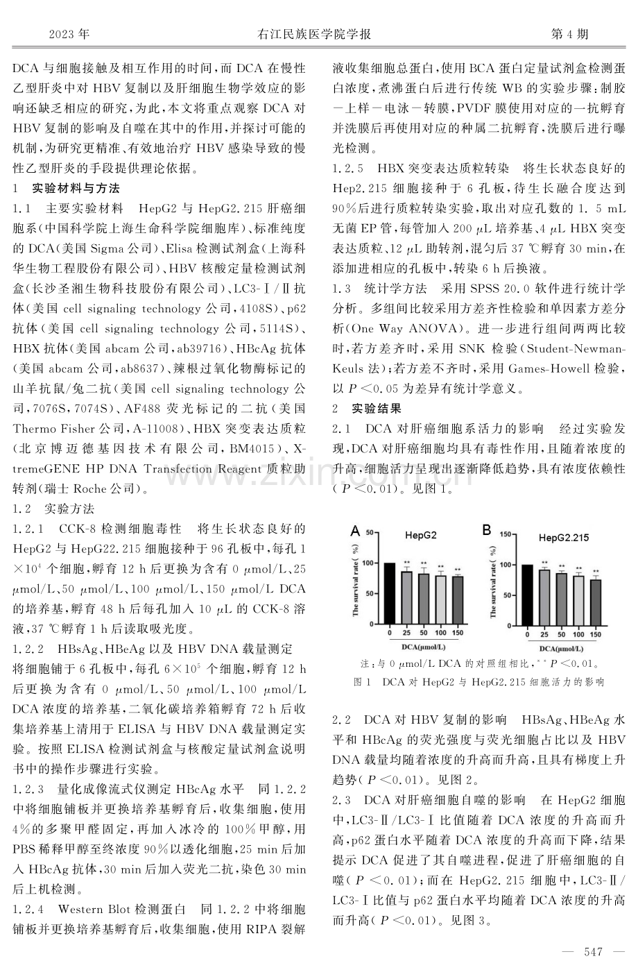 脱氧胆酸对HBV复制及肝癌细胞自噬影响的研究.pdf_第3页