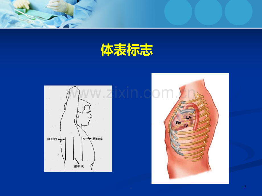 心内科体格检查PPT课件.ppt_第2页