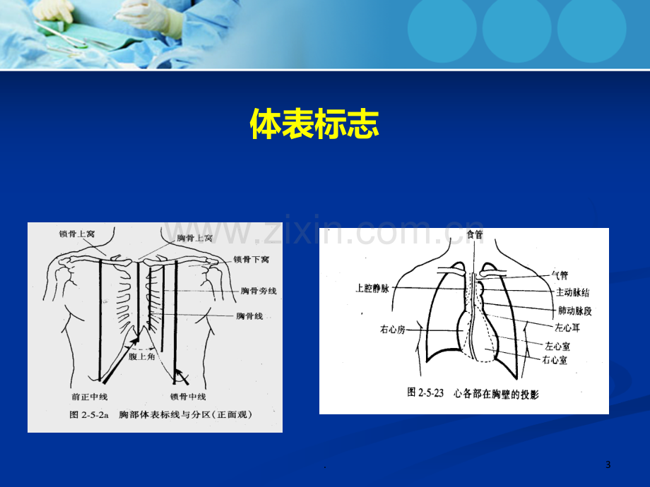 心内科体格检查PPT课件.ppt_第3页