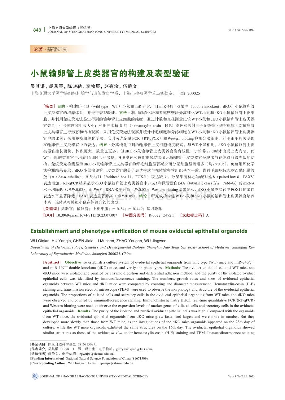 小鼠输卵管上皮类器官的构建及表型验证.pdf_第1页