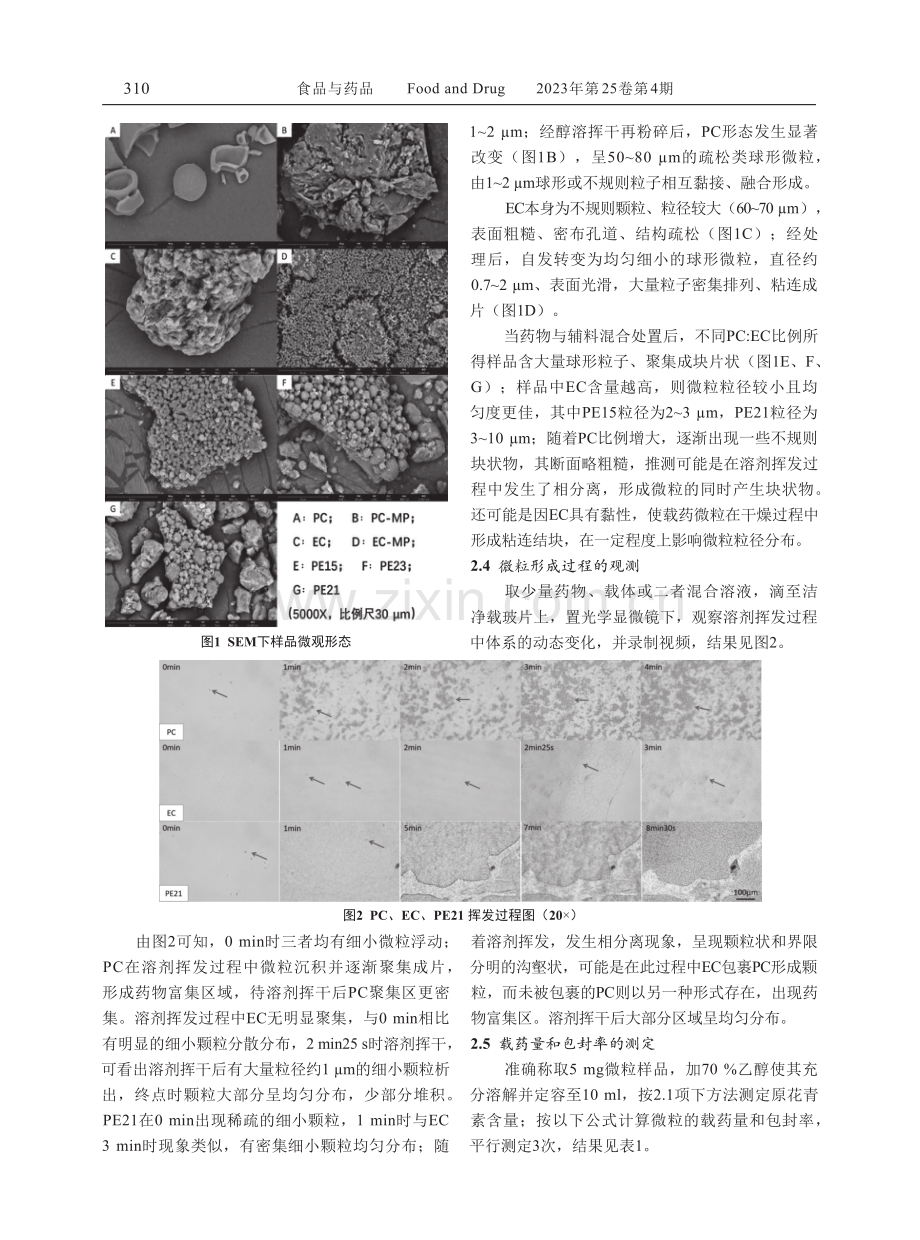 涂膜粉碎法制备原花青素缓释微粒的研究.pdf_第3页