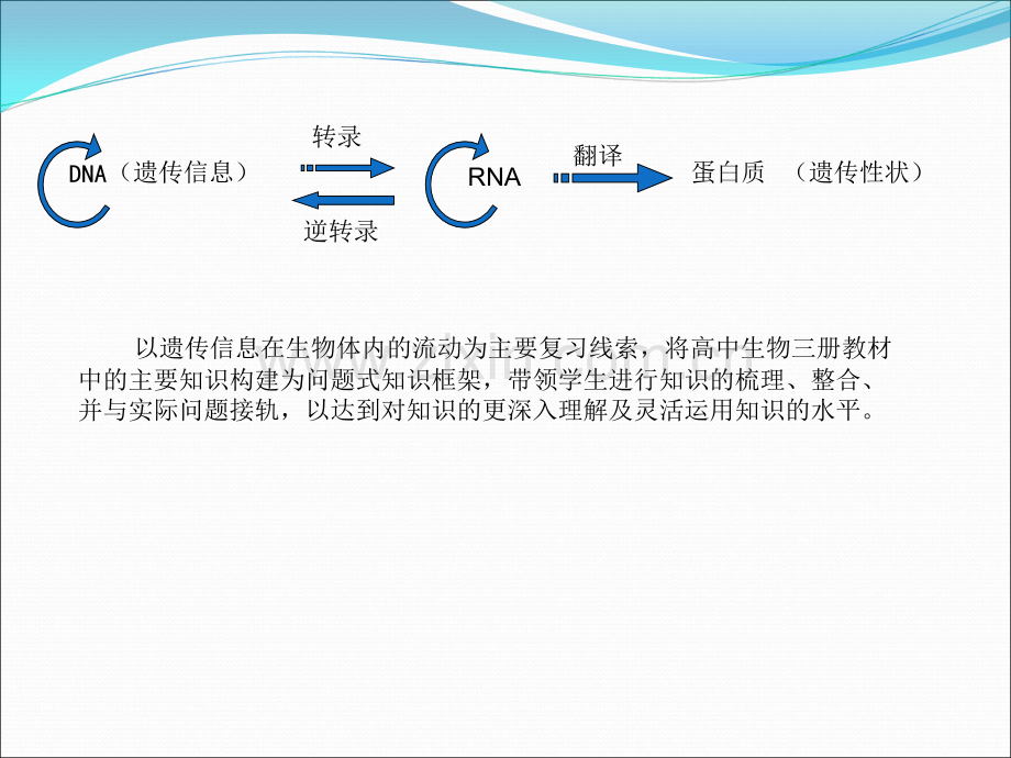 遗传和变异专题复习.ppt_第2页