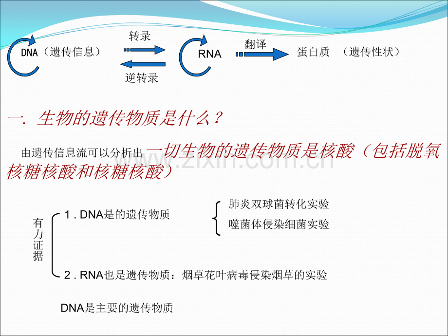 遗传和变异专题复习.ppt_第3页