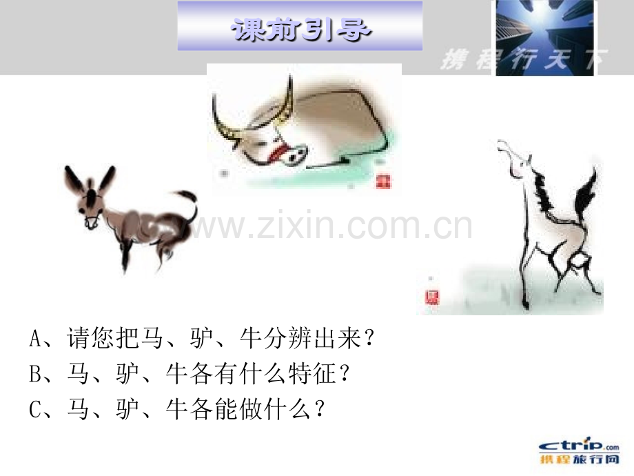 招聘面试技巧课件.ppt_第3页