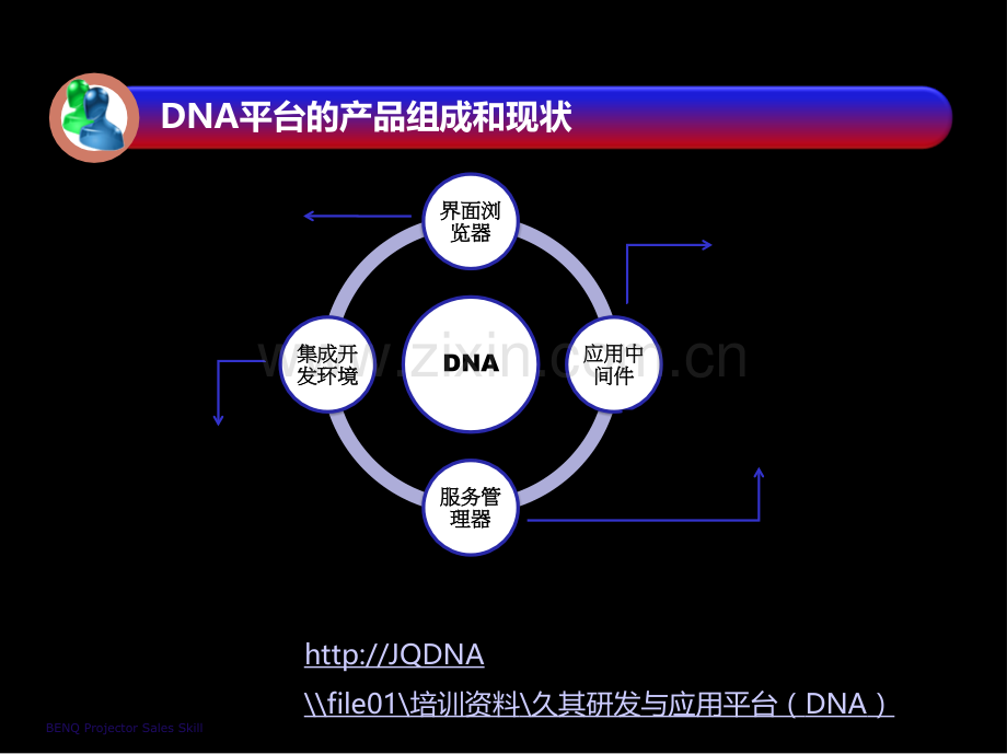 DNA(概述).ppt_第3页