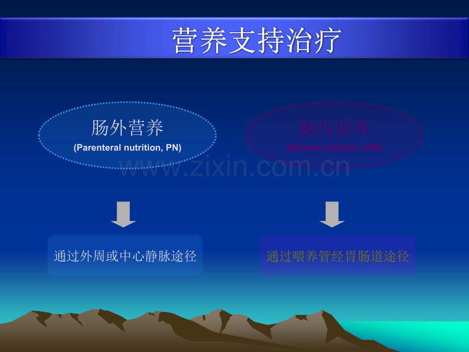 肠外营养药品介绍.ppt_第2页