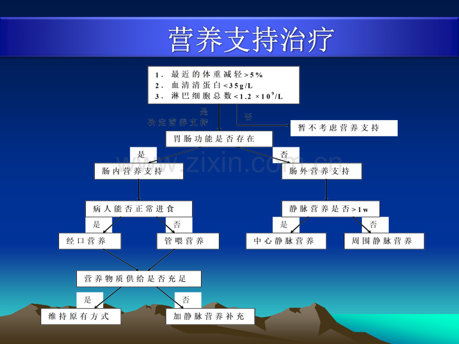 肠外营养药品介绍.ppt_第3页