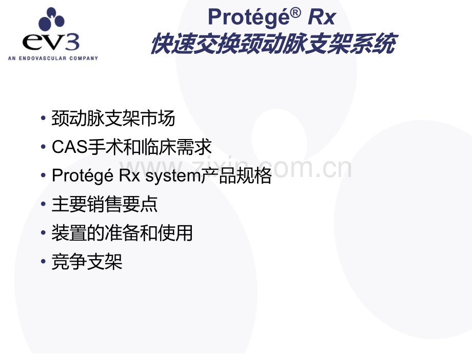 Protege-RX产品介绍PPT课件.ppt_第2页