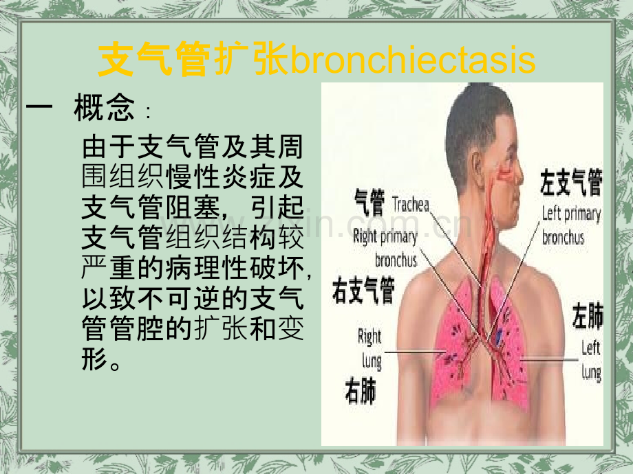 支气管扩张症护理查房.ppt_第2页