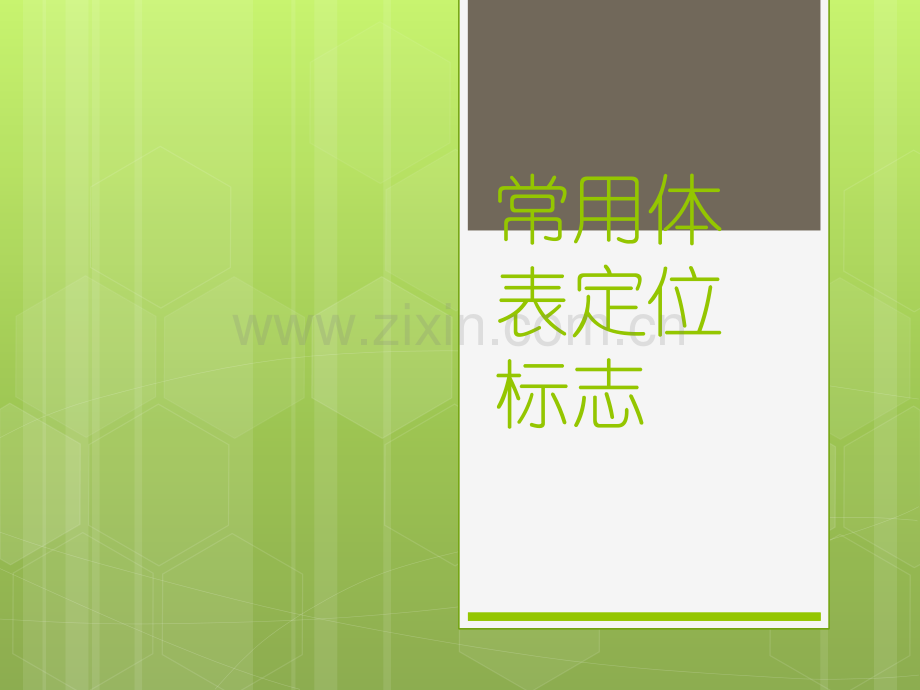 常用体表定位标志.ppt_第1页