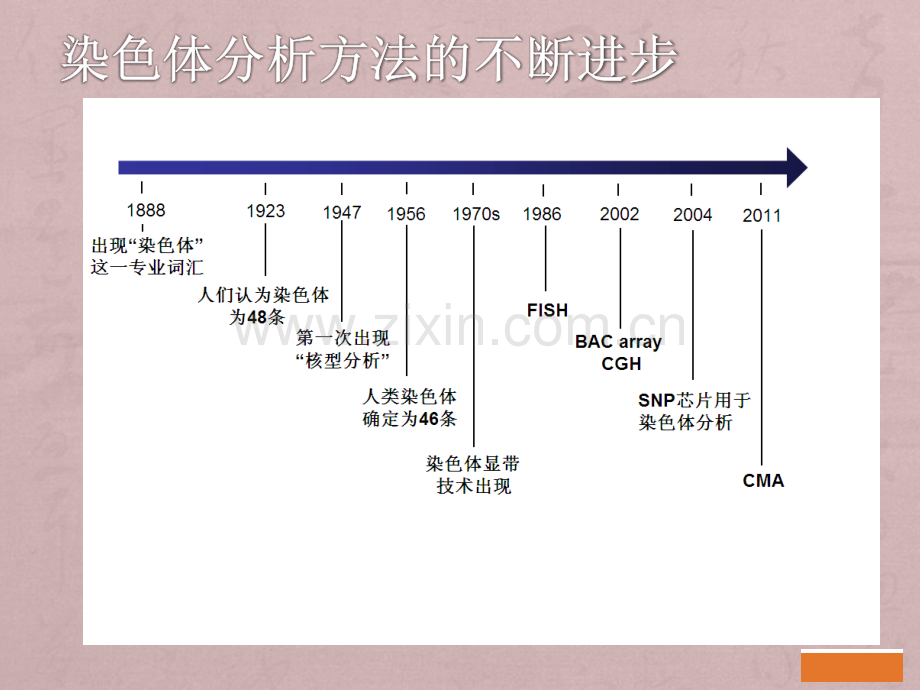 CMA在产前诊断中的应用.ppt_第2页