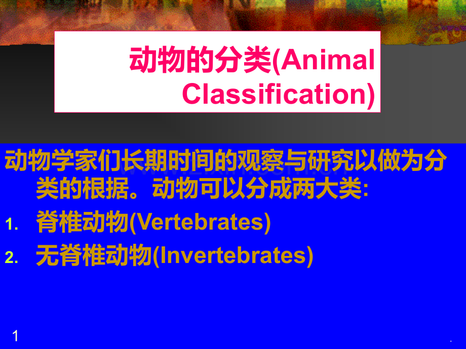 动物的分类PPT课件.ppt_第1页