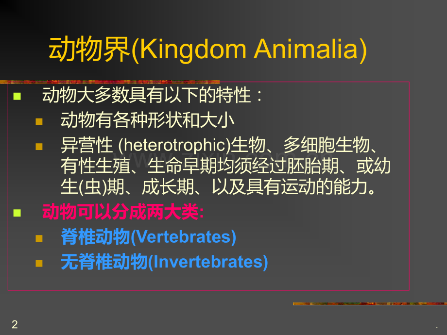 动物的分类PPT课件.ppt_第2页