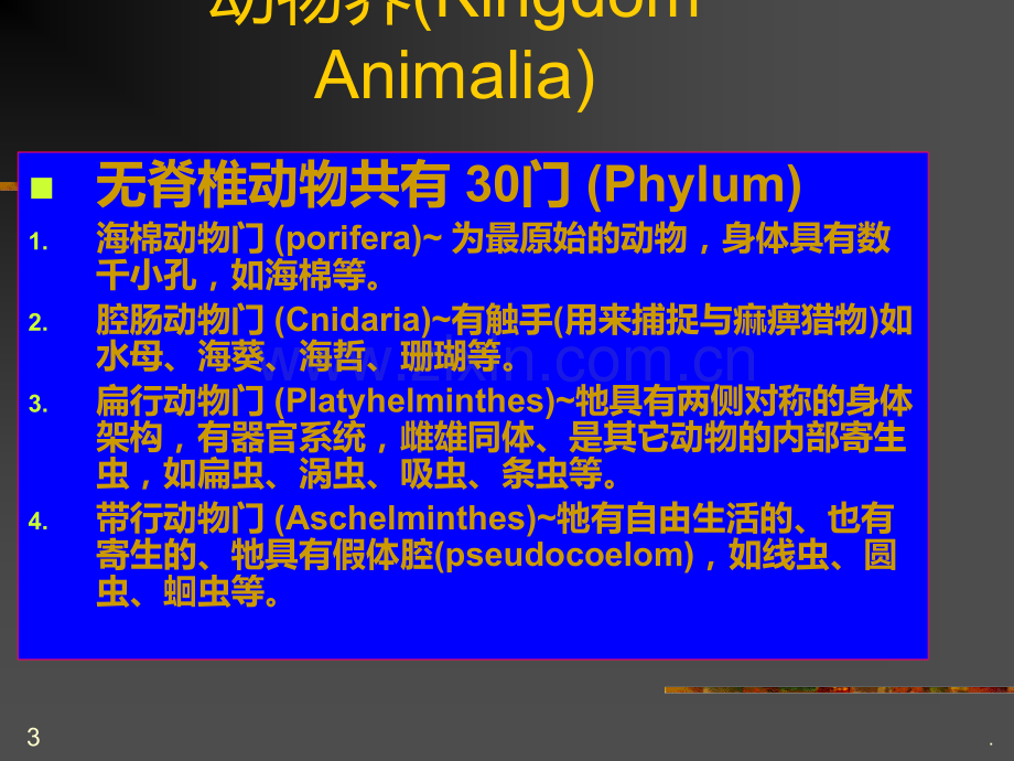 动物的分类PPT课件.ppt_第3页