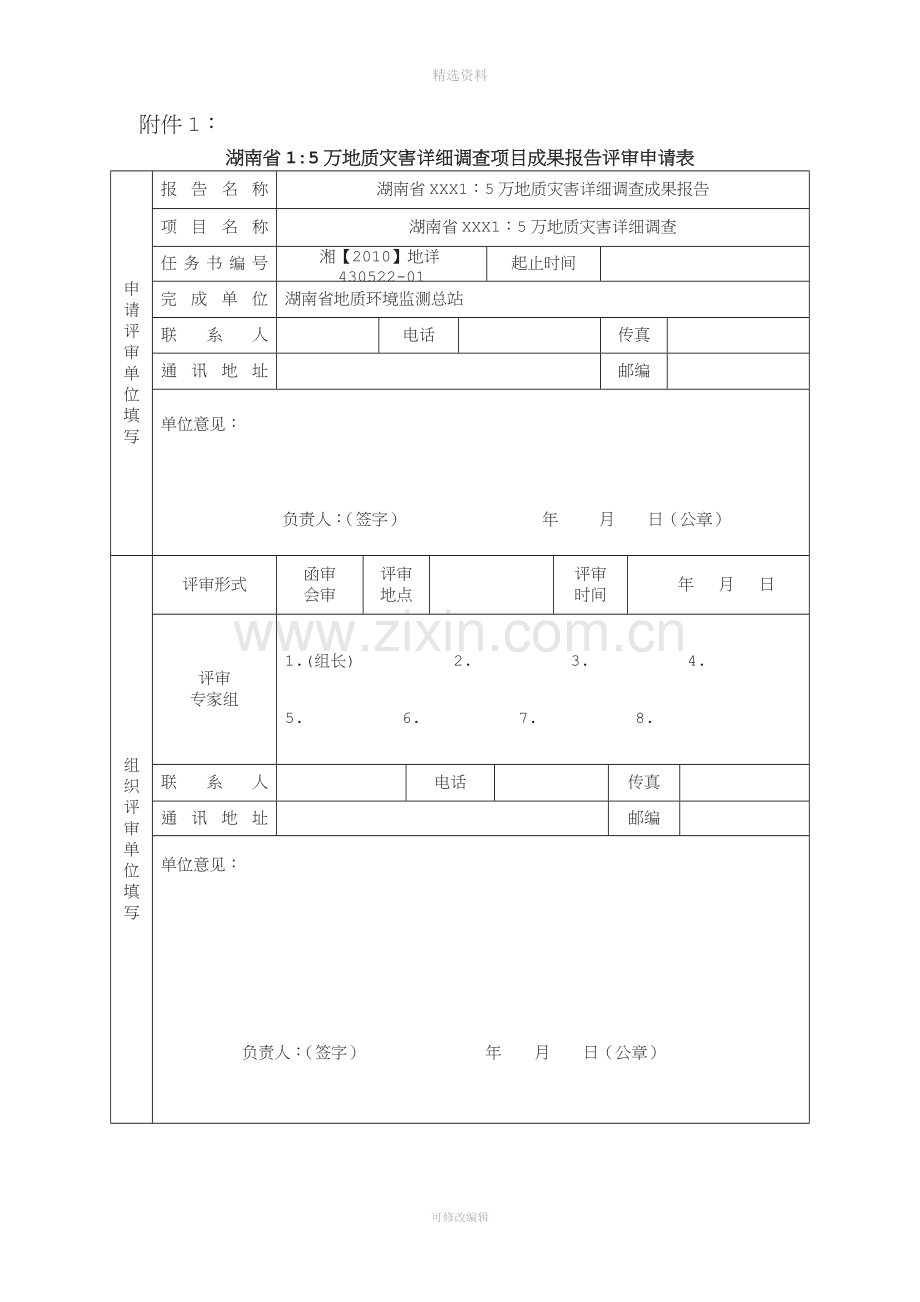 详查报告评审意见模板.doc_第1页