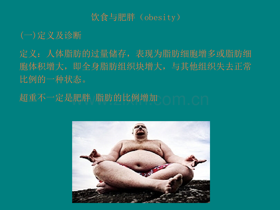 饮食与肥胖.ppt_第1页