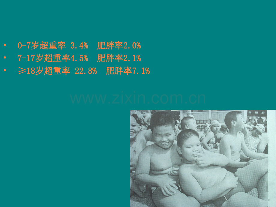 饮食与肥胖.ppt_第2页