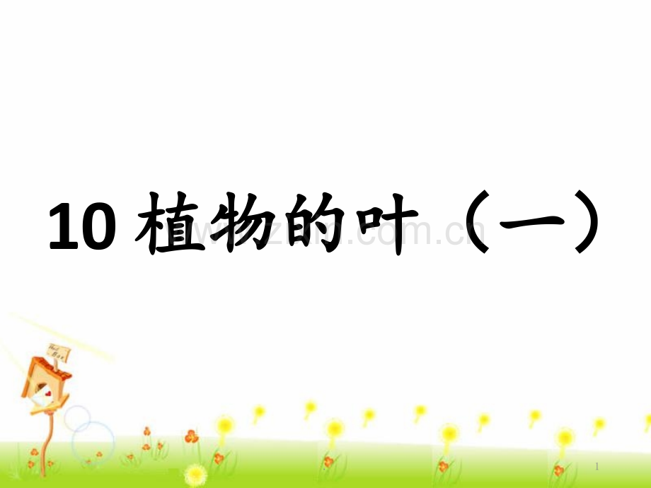 《10-植物的叶(一)》1PPT课件.ppt_第1页