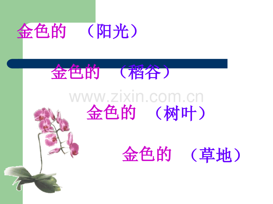 部编人教版《金色的草地》PPT课件.ppt_第2页