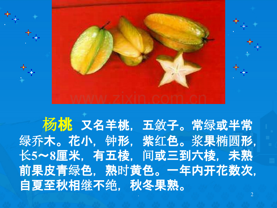 画杨桃.ppt_第2页