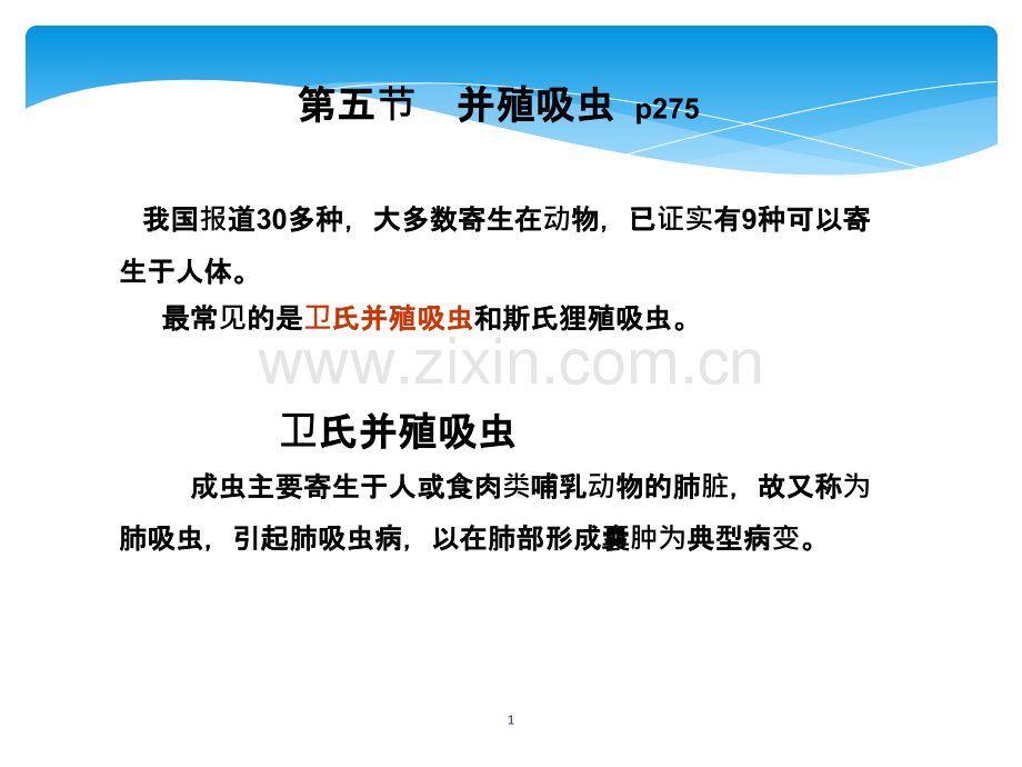 肺吸虫ppt课件.ppt_第1页