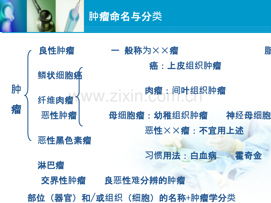 治疗恶性肿瘤药物PPT课件.ppt_第3页