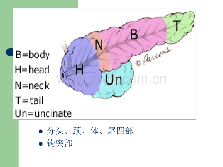 胰腺疾病ppt(1).ppt_第3页