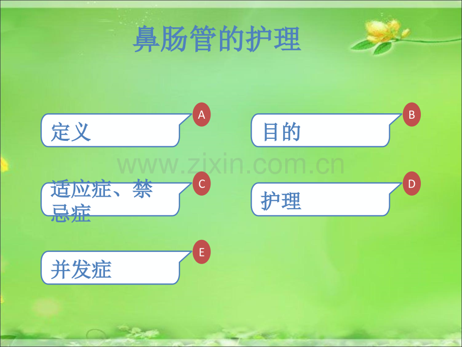 鼻肠管的护理40765.ppt_第2页