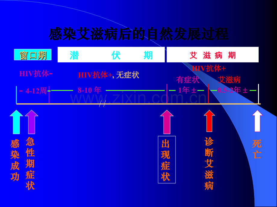 艾滋病感染者患者自我护理ppt课件.ppt_第3页